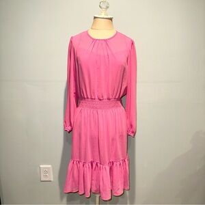J. Crew Pink Chiffon Long Sleeve Dress